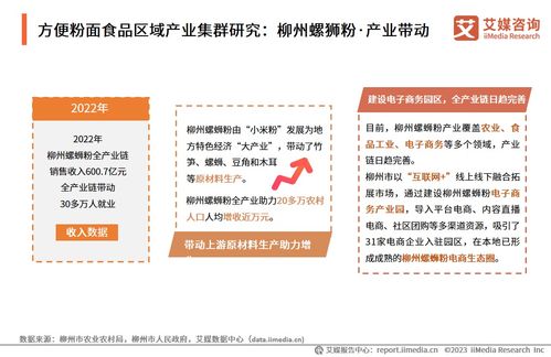 技術(shù)賦能與消費(fèi)驅(qū)動(dòng) 2024年中國(guó)方便粉面食品行業(yè)洞察與趨勢(shì)展望——基于中國(guó)食品科學(xué)技術(shù)學(xué)會(huì)與艾媒咨詢研究報(bào)告的交流探討